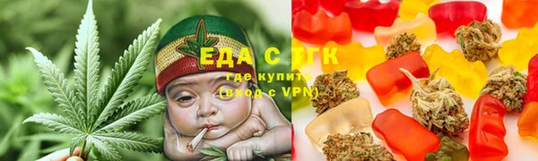 spice Богородицк